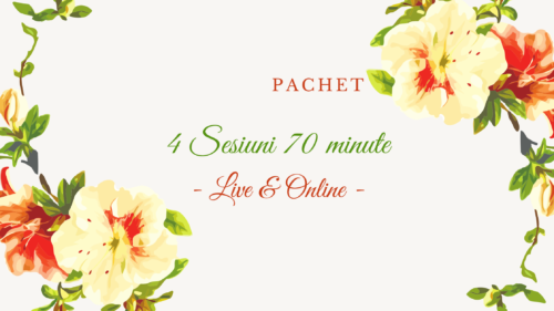 Pachet 4 Sesiuni 70 min | Live & Online