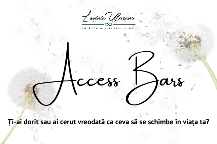 Clase Access Bars cu Lavinia Ulmeanu